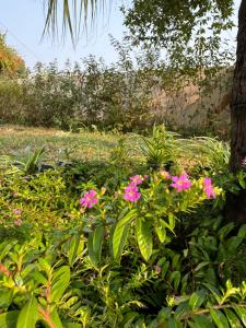 The Bougainvillea Cottage - Private 2BR Farm-Stay with Hill and Orchard Views