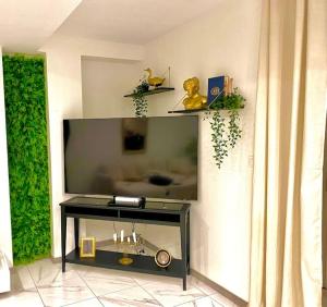 Appartements Toulouse vaste appartement tres lumineux : photos des chambres
