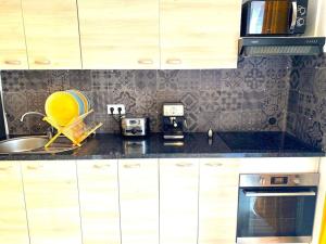 Toulouse vaste appartement très lumineux