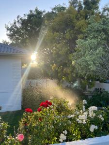 Franschhoek - A Sensory Escape