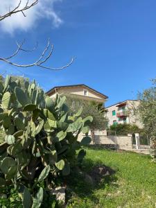 Villa Annunziata Superior