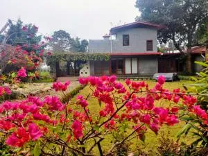 Minivets Nest - Belparāo