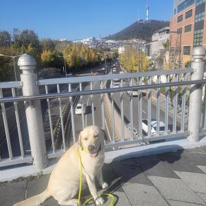 Newly Renovated Modern Home #11