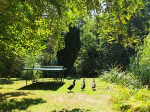 ÉletMagTár Guesthouse