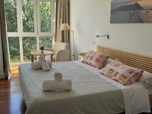 Apartamento PioXII Center