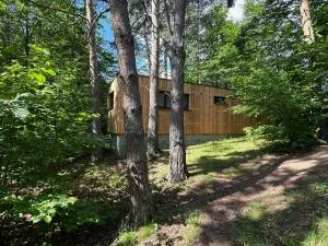 Sous Les Pins - 拉巴罗什