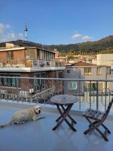 Cozy Rooftop View #12