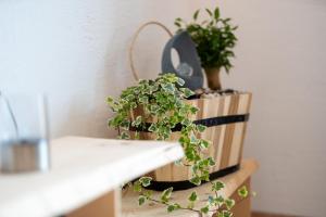 Berger Wohlfühloase