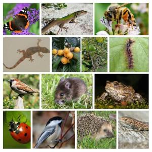 Wanderlust - Beautiful Villa in Aljezur