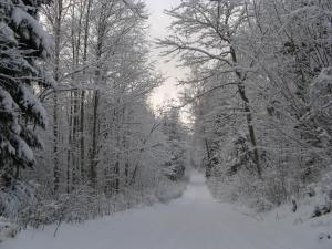 Väike-Pärna Holiday Home
