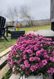 LEnvolée Ecolodge, tiny house au coeur des vignes