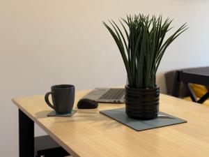 Vibrant cosy 2 Bedroom Apartment