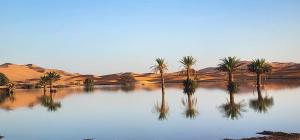 Oasis Luxury Camp