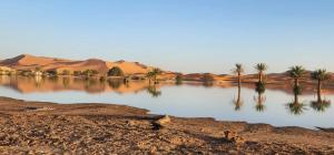 Oasis Luxury Camp