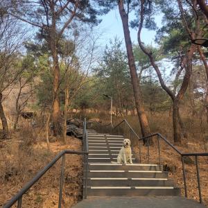 Spacious Newly Renovated Home #13