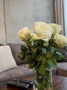 Apartament Modrzewskiego