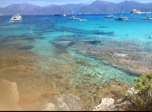 Villas VILLA LE CORAIL ROUGE CORSE : photos des chambres