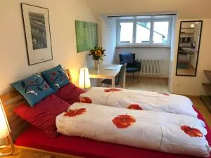 Guest room Zollikon Zürich - Zumikon