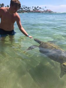 JK House Turtle Point