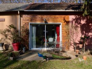 B&B / Chambres d'hotes La Faisanderie : photos des chambres