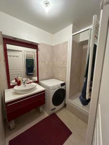 Appartements Spacious flat ideal for working or events : photos des chambres