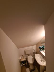 Vila DS - Slănic Prahova