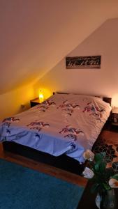 Vila DS - Slănic Prahova