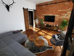 Apartament Comfort Sanok - Trepcza