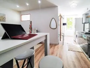 Charme de l'Isère au Coeur de Ville - 伊泽尔河畔的罗曼