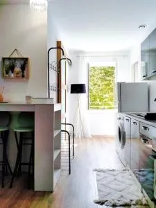 L'Isère depuis les Quais Romanais - 伊泽尔河畔的罗曼