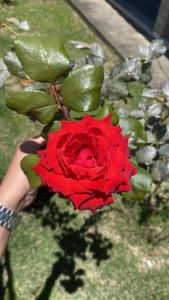 História de Verão House