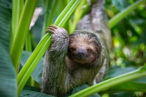 Hacienda el Paraíso