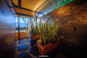 Cabañas de Lujo en Medio de la Naturaleza