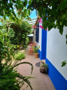 Vila Pilar Onda - Rural Apartment in the countryside of Sao Miguel