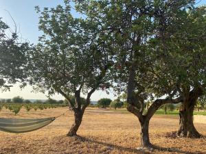 Beautiful Baglio in Sicily, Scicli, Donnalucata