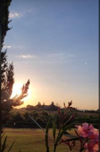 Agriturismo Podere Delle Querci