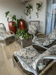 Apartamento aconchegante no centro