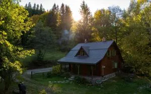 ZSUZSI-LAK - Sub Cetate