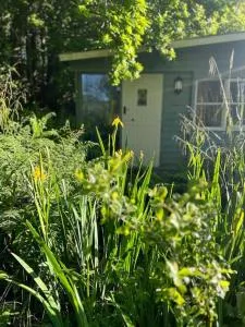 The Artists Studio - Saint Cleer