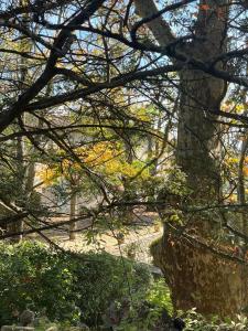 Villas Magnifique propriete sur la colline : photos des chambres