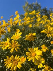 Villas Magnifique propriete sur la colline : photos des chambres