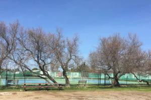 Campings Vue sur lac, 40 M2, 3 ch, 2 SDB pour votre confort : photos des chambres