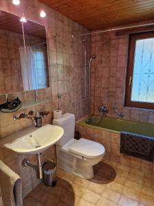 Swiss Chalet direkt am Thunersee