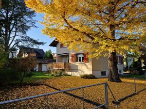 Swiss Chalet direkt am Thunersee
