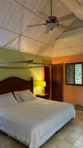 Rustic AC Oasis on Ometepe Island