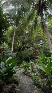 Rustic AC Oasis on Ometepe Island