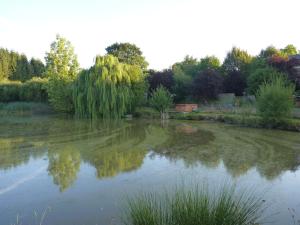 B&B / Chambres d'hotes Chambres d'hotes - Domaine de la Grangeotte : photos des chambres