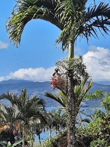 Beautiful 3BR Lakeshore House in Gated Community