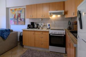 Premium Athenian District Urban 1 bedroom flat B