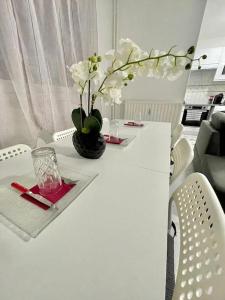 Appartement spacieux et moderne